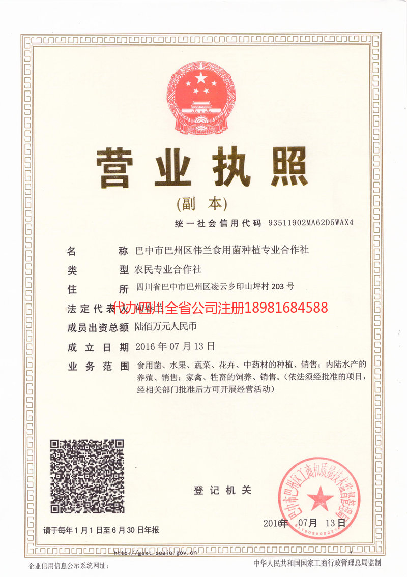 鸡西鸡西伟兰食用菌种植专业合作社